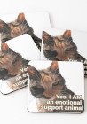 LittleGreyMan 2026 coasters set of 4